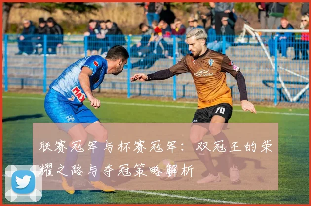 联赛冠军与杯赛冠军：双冠王的荣耀之路与夺冠策略解析